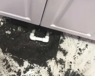 安陆查漏水哪家好